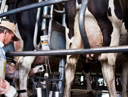 Quebranto crujen los números de una actividad de fuerte arraigo en todo el interior