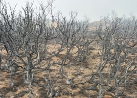 Espectadores de un incendio monumental el fuego en Chubut llegó al campo de un reconocido dirigente rural