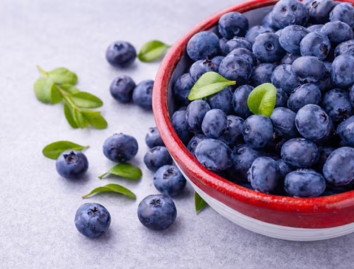 Aranceles al 15%. incertidumbre en los sectores exportadores argentinos por el anuncio de Trump