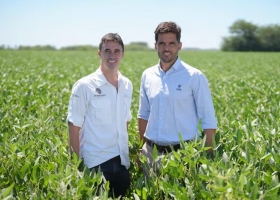 El partido de la soja un experto explicó cómo la Argentina puede achicar una brecha con Brasil