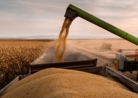 La cadena agropecuaria arrancó 2026 con récord histórico de actividad impulsada por cultivos y exportaciones