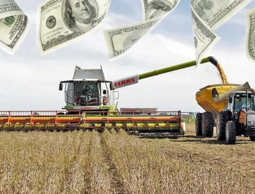 Milei ratificó que seguirá bajando retenciones “de forma responsable” y anticipó cambios en el mercado de semillas