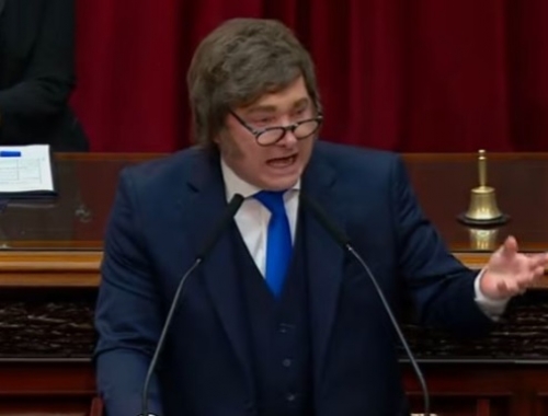 Soja: especialistas cuestionan a Milei y aseguran que el estancamiento productivo argentino no se explica por las semillas