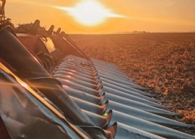 El precio del maíz argentino está baratísimo, pero la buena noticia es que podría estar mucho más bajo