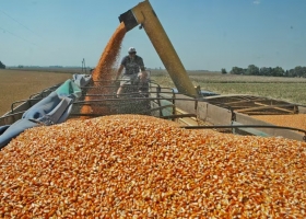 Acelera el agro los analistas esperan que marzo cierre con un ingreso de divisas por US$2000 millones