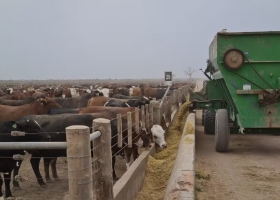 RIMI: el piso de US$150.000 deja afuera inversiones del campo y genera reclamos del sector