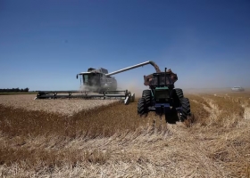 Boom del agro o recuperación El debate por las proyecciones de Caputo y el futuro del campo