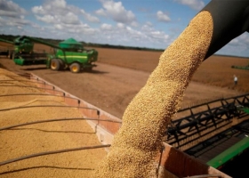 Exportaciones récord del agro: el campo argentino embarcó 29 millones de toneladas en el primer trimestre de 2026