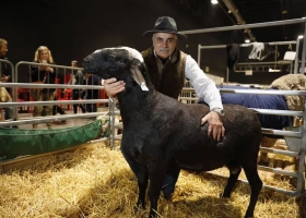 Me fundo fuerte preocupación entre los productores de ovinos por los casos de scrapie y cuestionamientos al Senasa