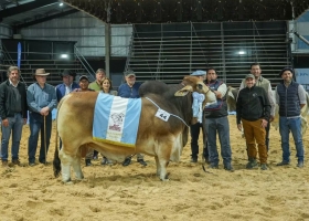 Los Brahman picaron en punta y consagraron a los primeros Grandes Campeones de las Nacionales 2026
