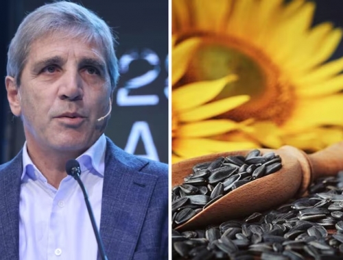 Lo anunció Caputo el agro ya exportó por US$17.095 millones y alcanzó un récord en volumen