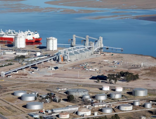 Louis Dreyfus invertirá US$400 millones en Bahía Blanca para una de las mayores plantas de molienda de girasol del mundo