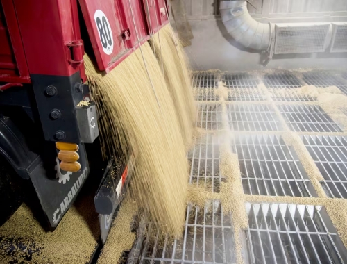 Gremios aceiteros y exportadores siguen sin un acuerdo salarial en plena cosecha