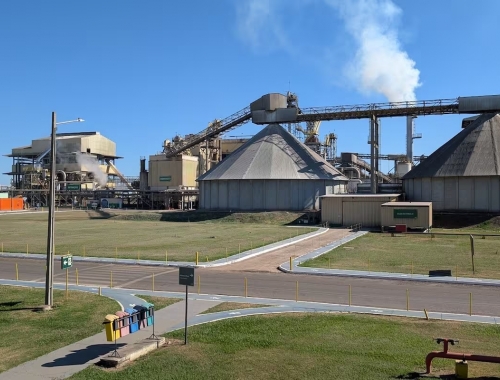 Tiene 900.000 kilómetros cuadrados cómo funciona uno de los principales polos agroindustriales del mundo