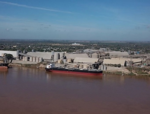 La industria aceitera está trabajando en un nivel adecuado, pero lejos de una situación excepcional