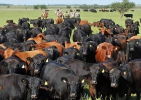 La ganadería va a tener la misma tecnología que la agricultura. el diagnóstico desde el Congreso Ganadero
