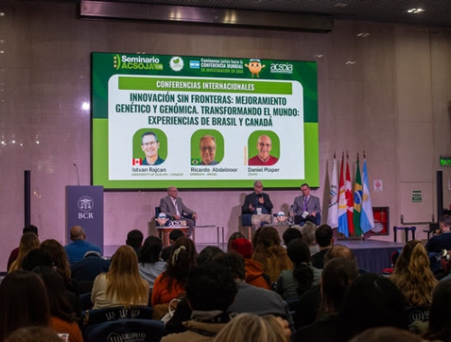 Alertan que la soja necesita ampliar su diversidad genética para seguir aumentando los rindes