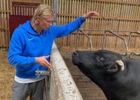 Del Mundial al campo: Haaland sueña con convertirse en el mejor agricultor de Noruega