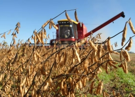 La soja se disparó en Chicago: subió más de US$17 por clima adverso y expectativas de compras de China