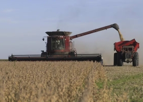 Atraso récord finalizó la cosecha de soja y las ventas de los productores tienen un bajo ritmo