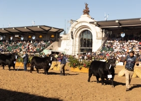 La Rural 2026 abre sus puertas con foco en genética, innovación y nuevos negocios para el agro