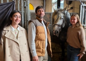 Percherón: el gigante manso que sorprende en Palermo 2026