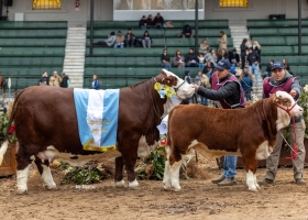 Gran Campeón Hembra para "El Aljibe" en la Exposición Rural de Palermo