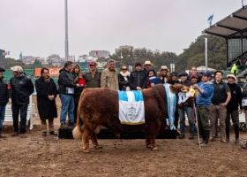 Limangus fue la gran campeona de Palermo 2026