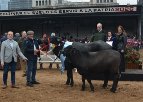 Los búfalos de Corrientes brillaron en Palermo y ratificaron su excelencia genética