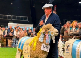 Una cabaña de Corrientes ganó el Gran Campeón Romney Marsh en Palermo