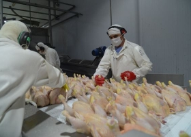 La Unión Europea reabre su mercado a la carne aviar argentina tras recuperar el estatus sanitario