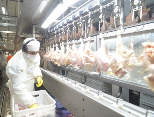 El Reino Unido reabrió su mercado para la carne aviar argentina