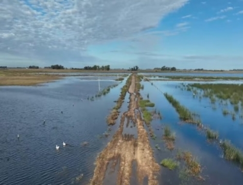 El SMN alerta por lluvias superiores a lo normal y un posible Súper Niño hacia fin de año