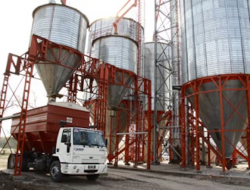 La Nueva Vicentin reactivó un feedlot para 30.000 cabezas y financia a Friar con $4.270 millones