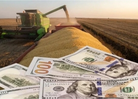 La liquidación de dólares del agro cayó 16% entre enero y julio de 2026