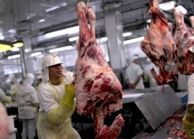 La retención de hacienda ya impacta: la faena cayó 12% y el consumo tocó el piso del año