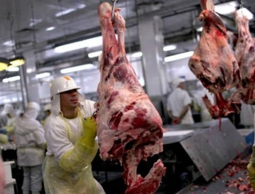 La retención de hacienda ya impacta: la faena cayó 12% y el consumo tocó el piso del año