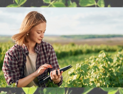Once bancos y sus créditos para el agro en el Congreso Aapresid 2026