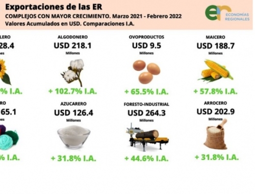Semáforo de CONINAGRO: Solo 4 Economías Regionales en Verde y 7 en Situación Crítica