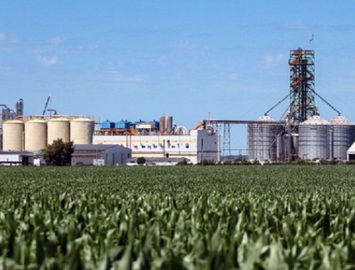 Biocombustibles: la nueva ley que puede cambiar el destino de la soja y el maíz