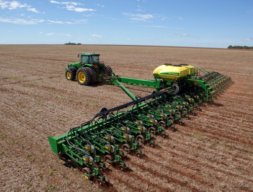 Girasol: ya se relevan los primeros lotes en el norte de Córdoba y Santa Fe