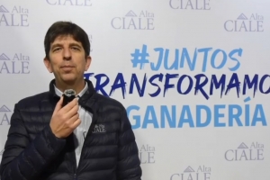 Ciale Alta Argentina