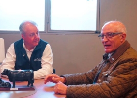De Palermo al rodeo: cómo la genética Angus impacta en todo el país