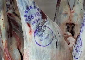 Las exportaciones de carne ovina crecieron 34% en el primer semestre