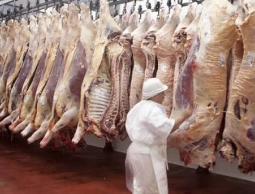 Carne vacuna: cae la faena y el consumo, pero crecen las exportaciones