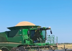 Arroz: la producción argentina cayó 14% en 2025/26