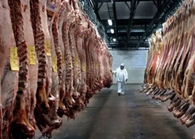 Las exportaciones de carne bovina crecieron 37% y generaron USD 2.676 millones en el primer semestre de 2026