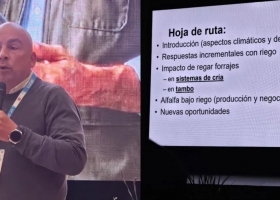 Riego en ganadería: cómo reducir el riesgo y sostener la producción