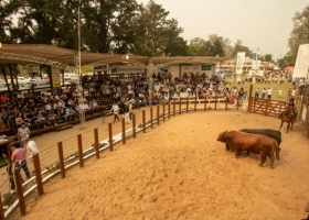 Expo Rural Formosa 2026: ganadería, tradición y espectáculos