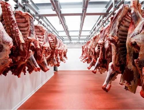 Exportaciones de carne vacuna: crecieron 9% y generaron US$ 2.768 millo